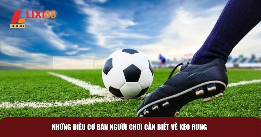 Kèo Rung Là Gì? Cách Đánh Rung Bóng Đá Cơ Bản Nhất 2 Những điều cơ bản người chơi cần biết về kèo rung
